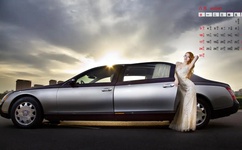 张怕芝的毛又多又密